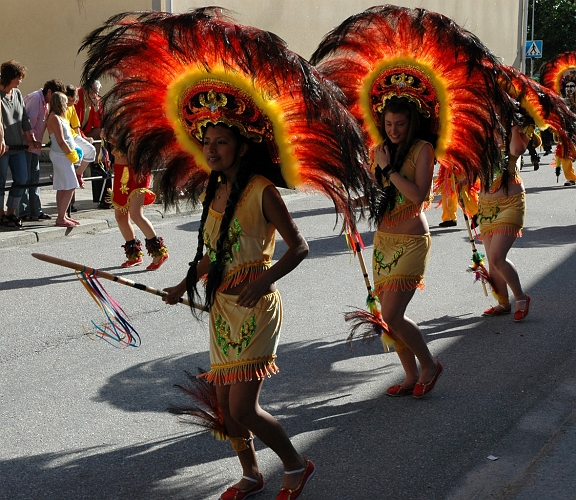 050618_275.jpg - Bolivianska Föreningen i Eskilstuna