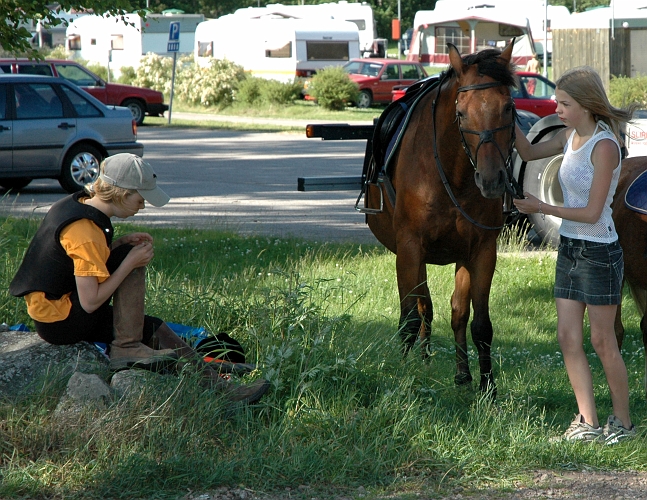 2005_0624_165430AA.JPG - Hästridning fanns för de som ville ta en tur