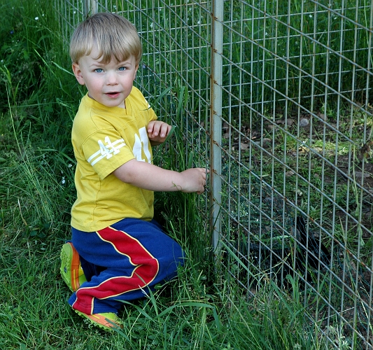 2005_0625_154100AA.JPG - Kevin matar kaninerna