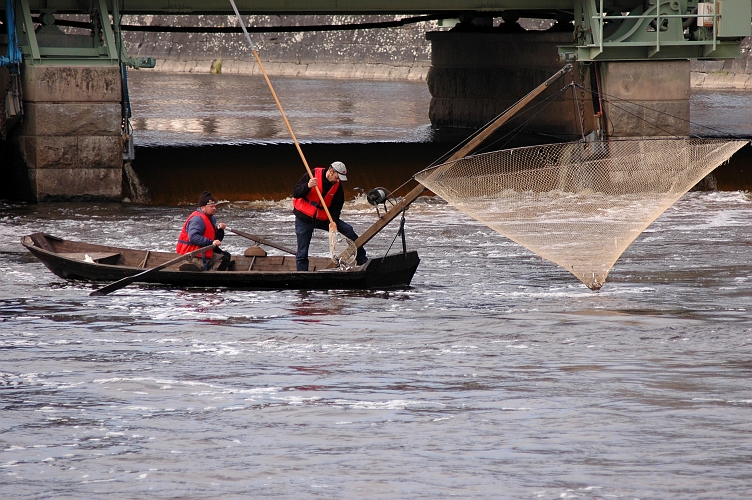 2005_0416_02.jpg - Norsfiske i hamnbassängen i Arboga