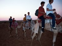 kameler003  Kamelridning i skymningen