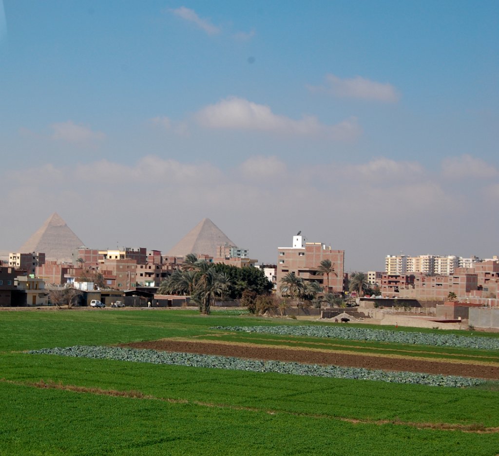 Kairo 23
