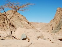 Sinai 02