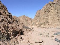Sinai 44