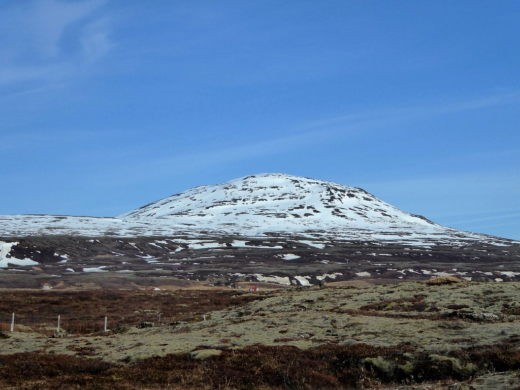 P1000770