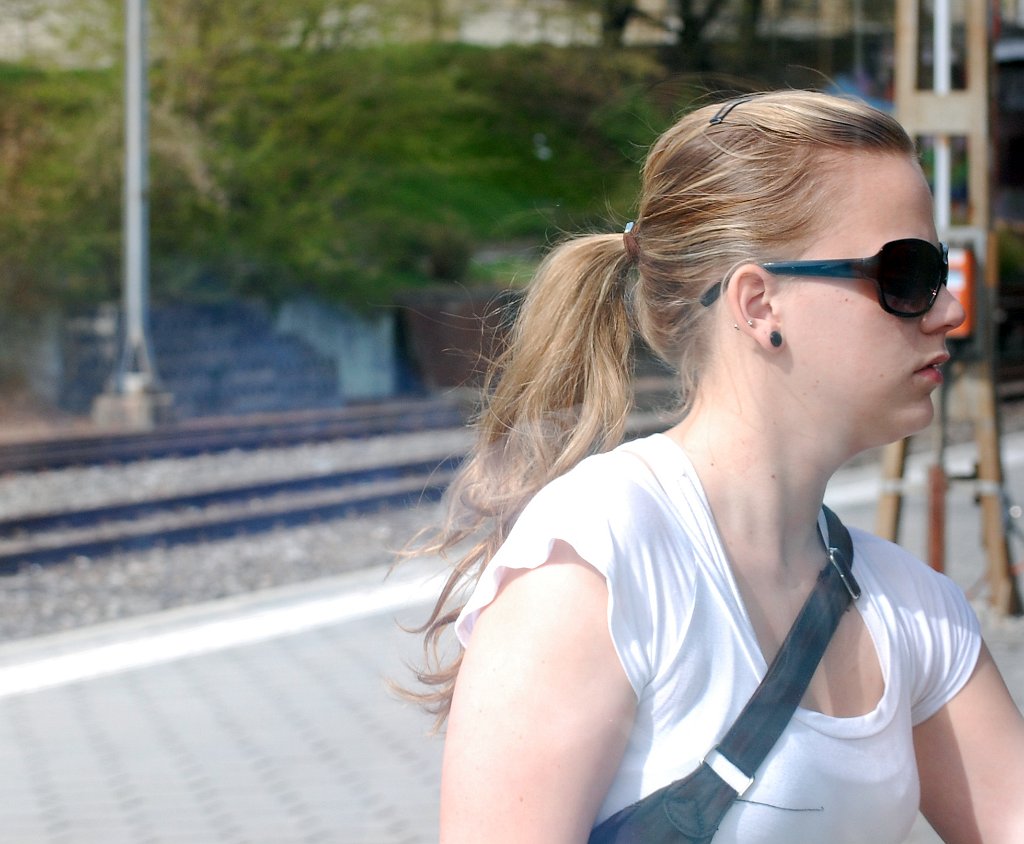 Basel Geneve Train 02