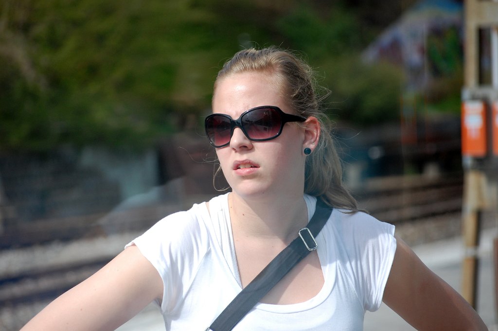 Basel Geneve Train 04