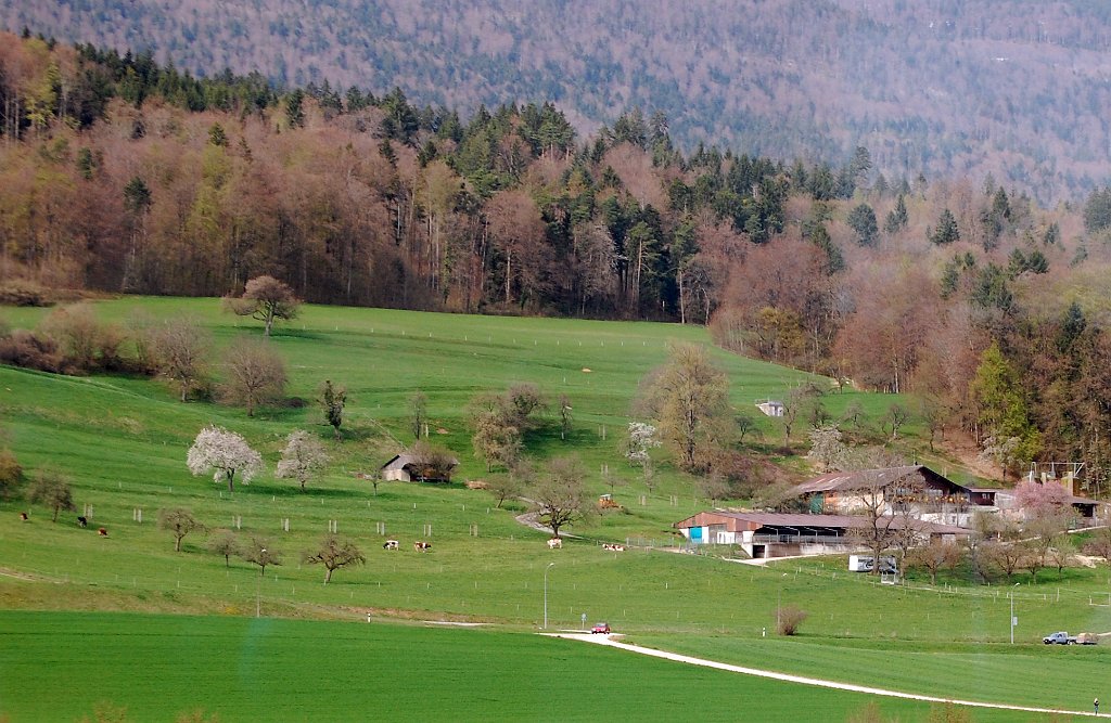 Basel Geneve Train 06
