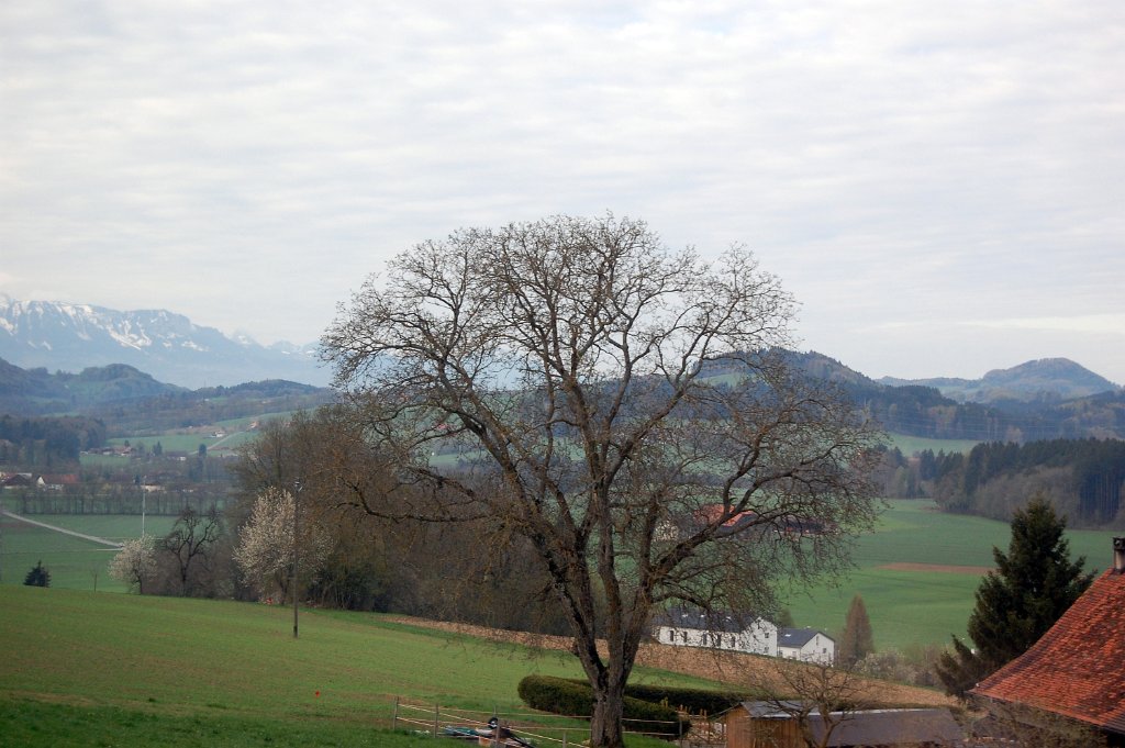 Basel Geneve Train 20