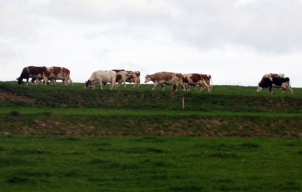 Basel Geneve Train 27