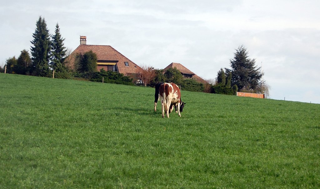 Basel Geneve Train 28