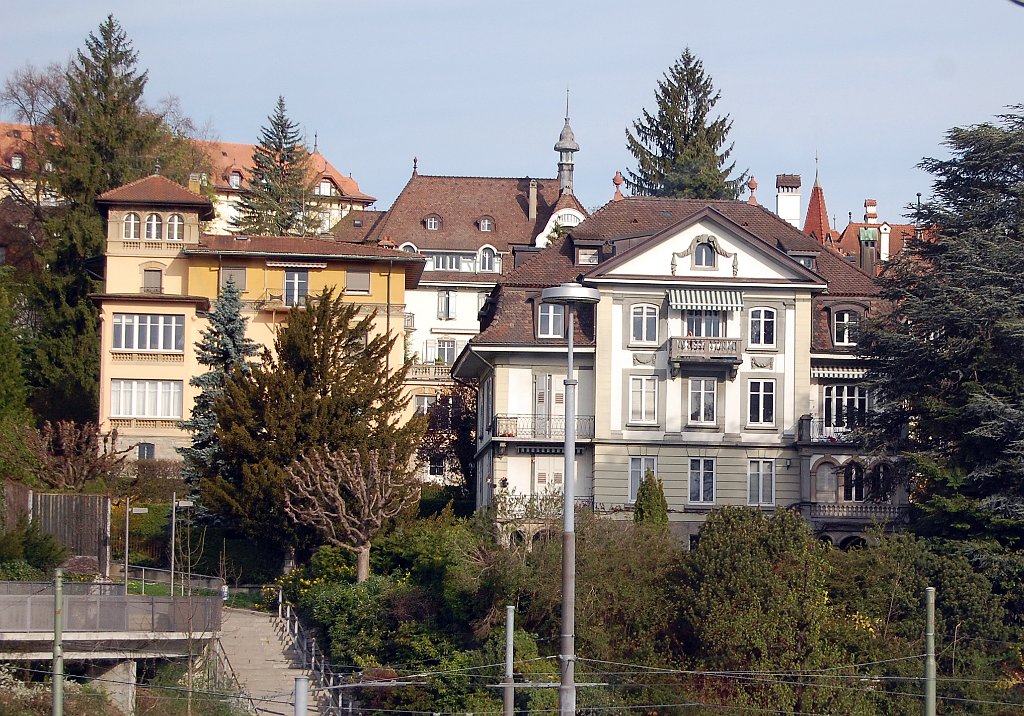 Basel Geneve Train 29