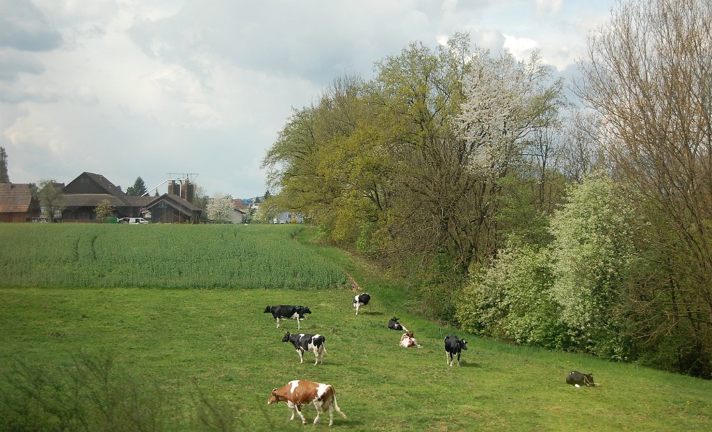 Basel Geneve Train 34