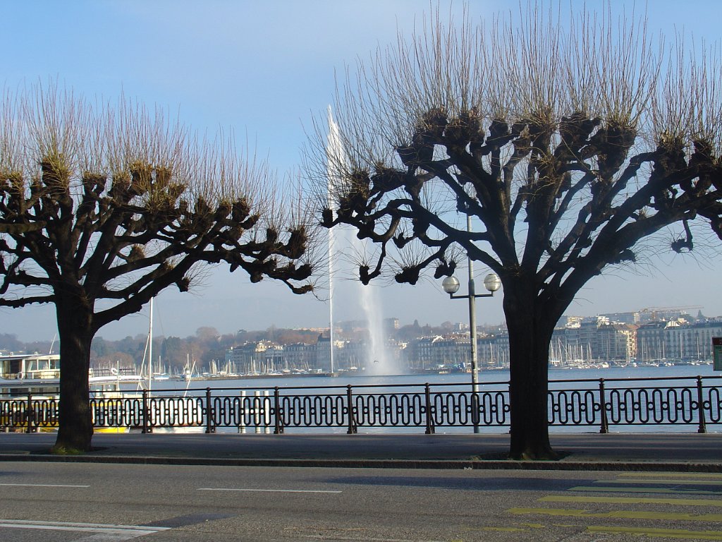 Geneve 141