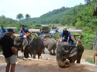 Elefantridning Kaho Sok 022
