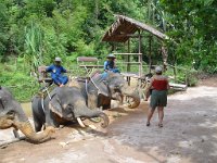 Elefantridning Kaho Sok 024