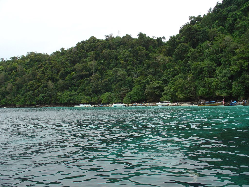 Phi-Phi Islands 043