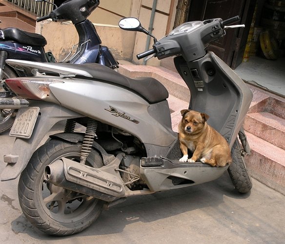Hanoi gata trafik-19