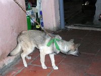 Hanoi_gata_trafik-38.jpg