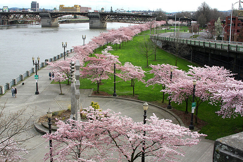 Portland