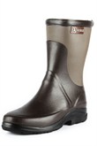 Aigle