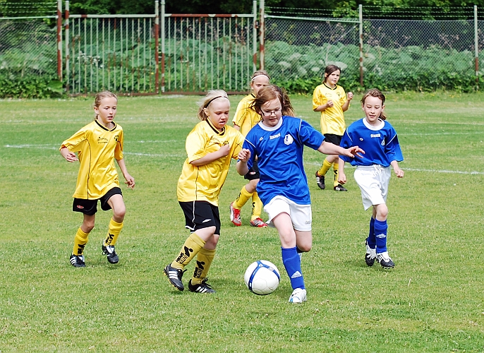 2010_0605_02-10.JPG - F00/01 - Skinnskattebergs SK