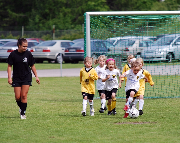 2010_0605_03-12.JPG - P/F04 Internmatcher