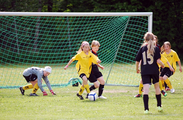 2010_0605_09-17.JPG - F98/99 - Garphyttan/Lekeberg