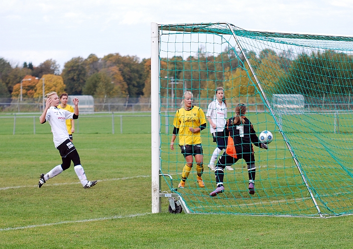 2010_1002_42.JPG - . . . . skall bara lägga in bollen i mål . . . .