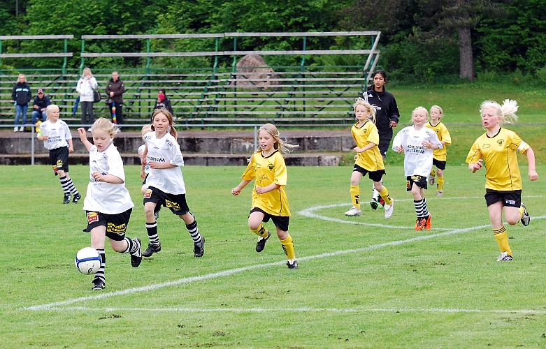 2011_0528_04-03.JPG - F02 - Kolsva IF