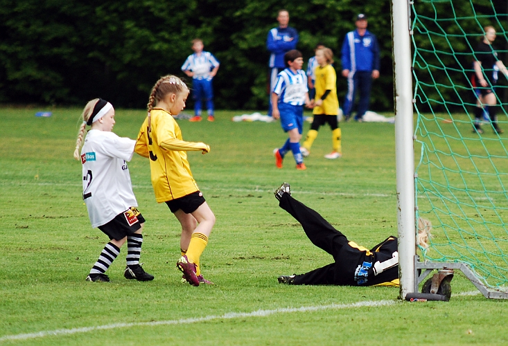 2011_0528_04-08.JPG - F02 - Kolsva IF