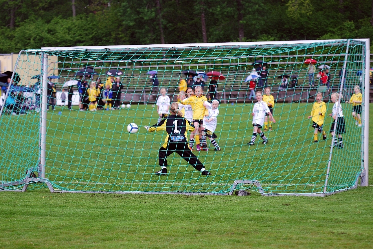 2011_0528_04-15.JPG - F02 - Kolsva IF