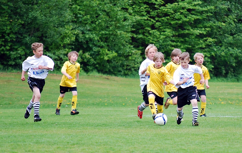 2011_0528_09-02.JPG - P02 - Kolsva IF