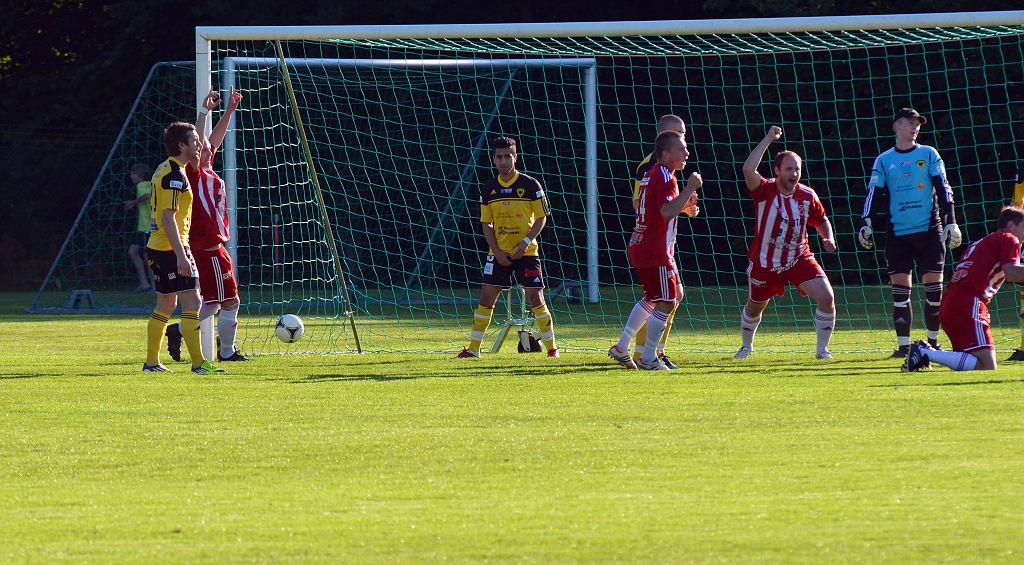 2012_0620_03.JPG - . . . . och går i mål. 1-0 till Sala