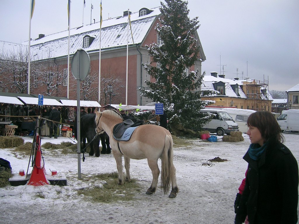 Arboga Julmarknad 2008_08