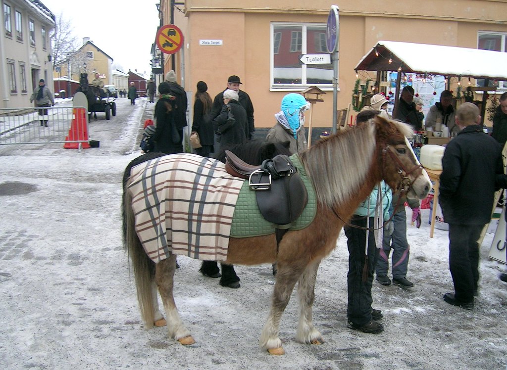 Arboga Julmarknad 2008_09