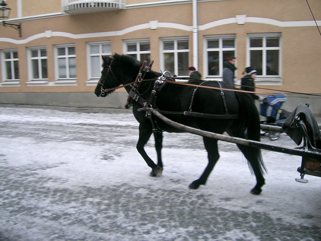 Arboga Julmarknad 2008_12