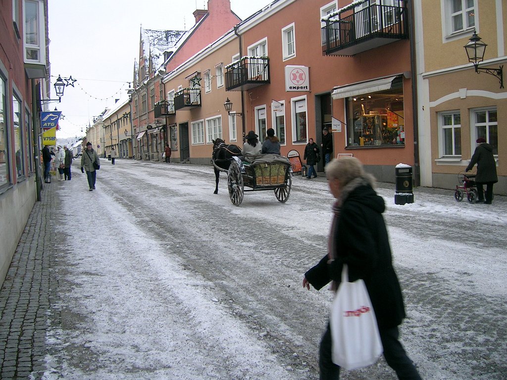 Arboga Julmarknad 2008_13