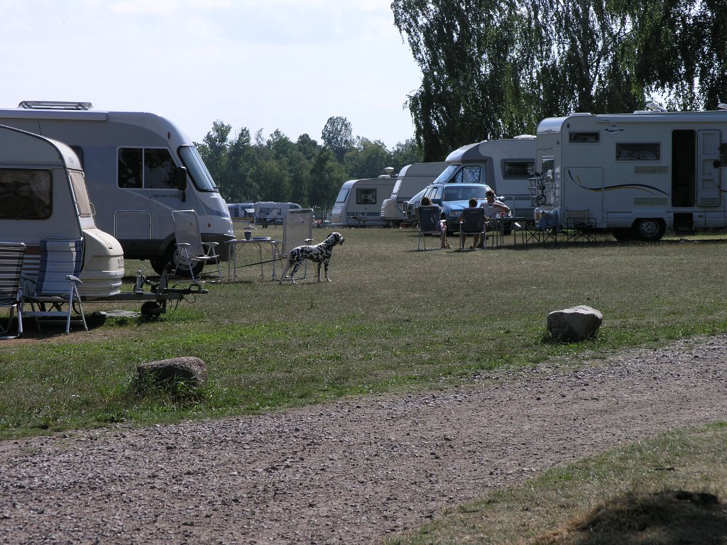 Hundcamping_024