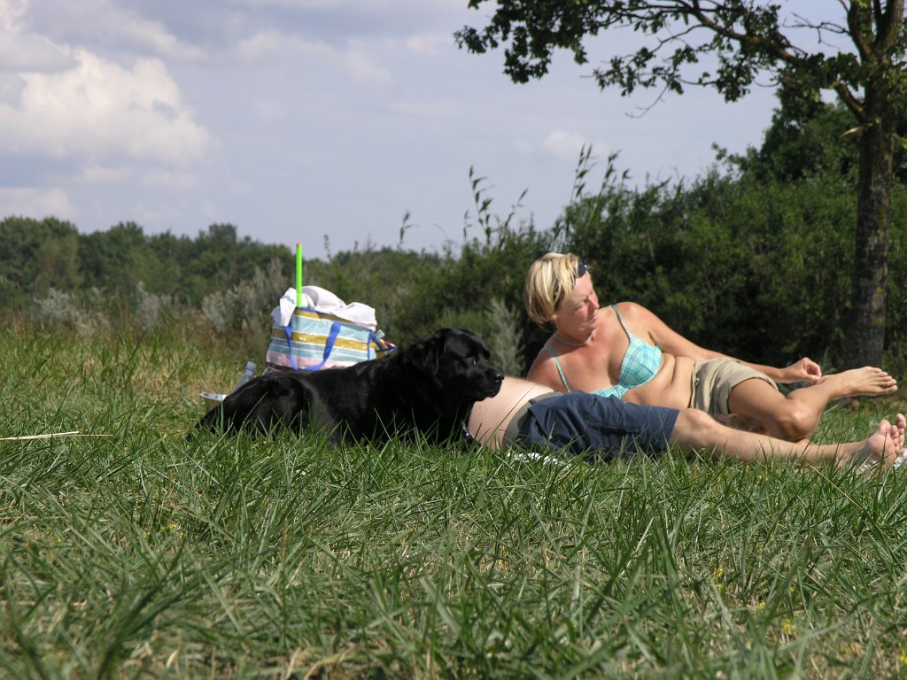 Hundcamping_028