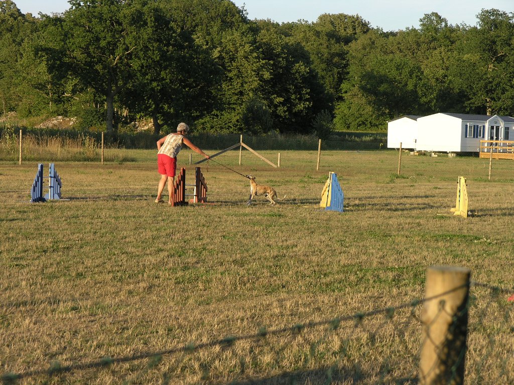 Hundcamping_090