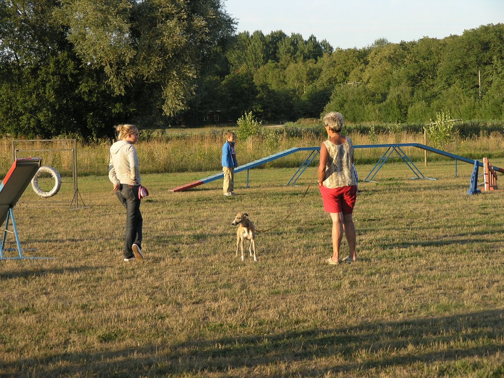 Hundcamping_097