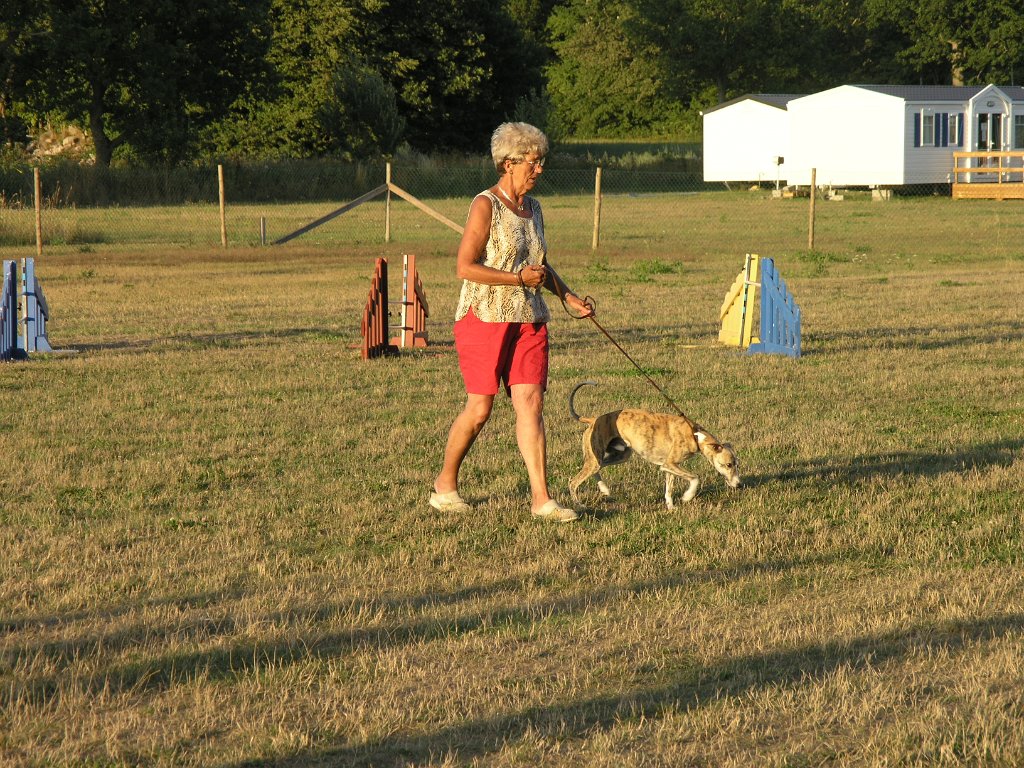 Hundcamping_102