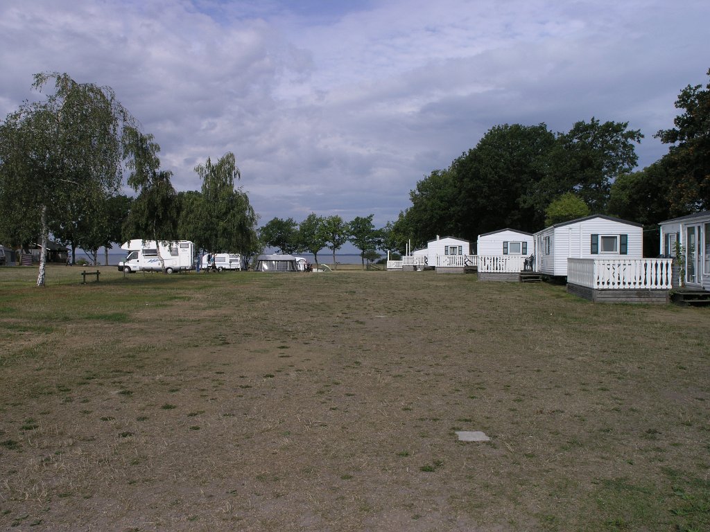 Hundcamping_126