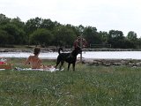 Hundcamping_035