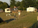 Hundcamping_110