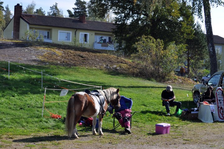 DSC_0609