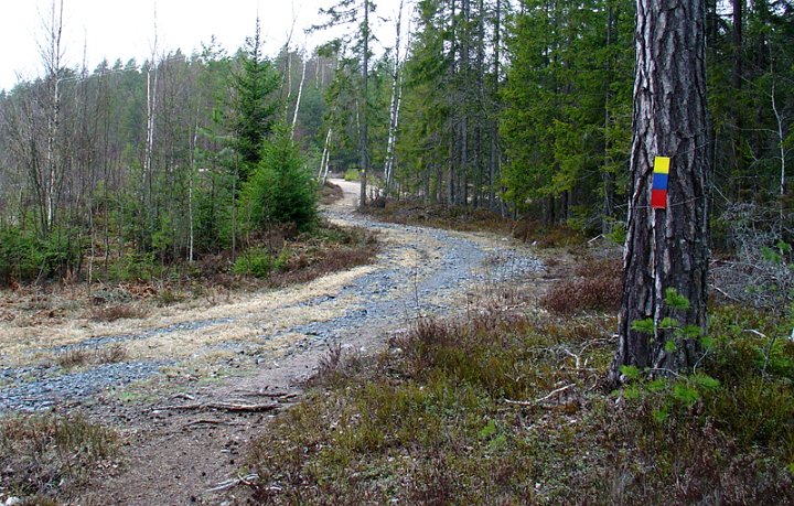 Motion-i-Fellingsbro-2718