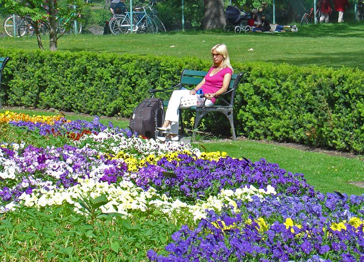 Stadsparken_16