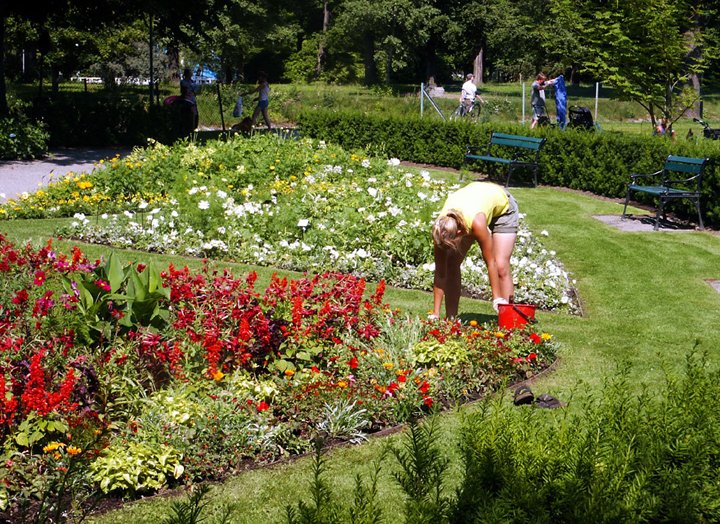 Stadsparken_33